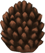Pinecone