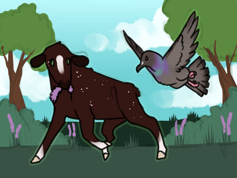 rayxray.deviantart.com