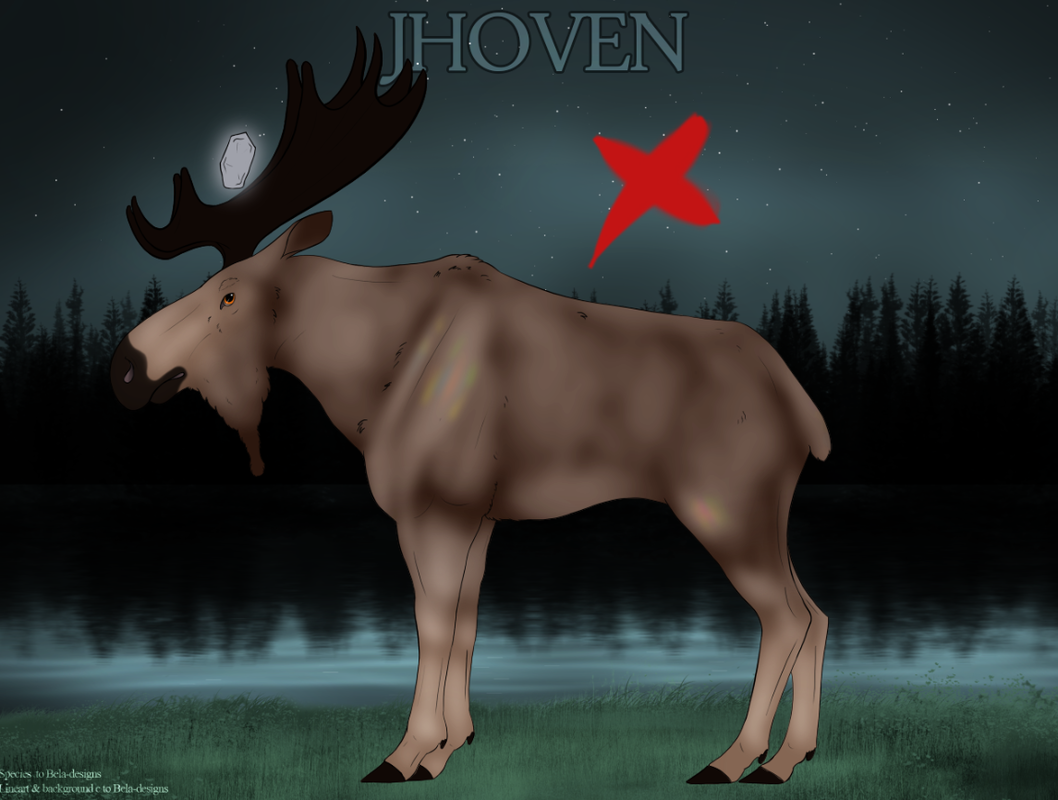 nono-shimmer-bruse2_orig