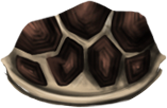 turtle shell